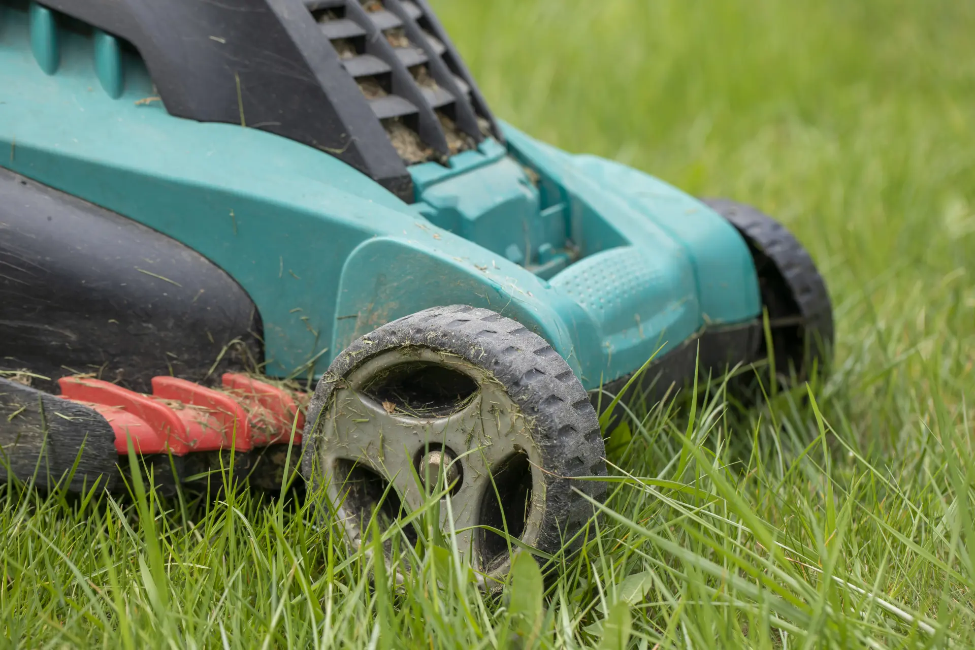 Top Features to Look for in a Rotary Lawn Mower